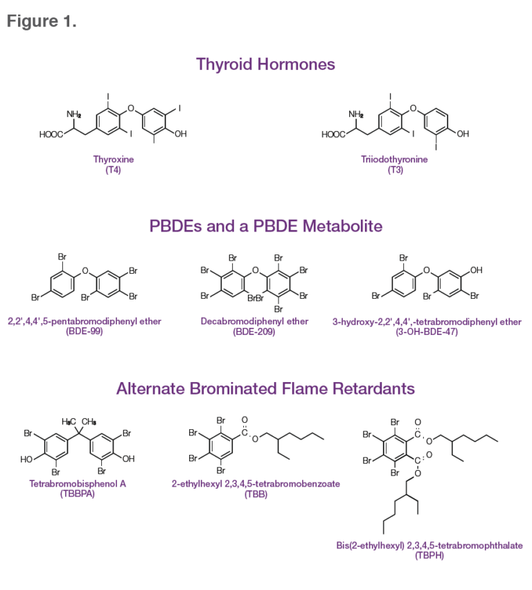 Are Flame Retardant Chemicals Contributing to the Increase in Thyroid